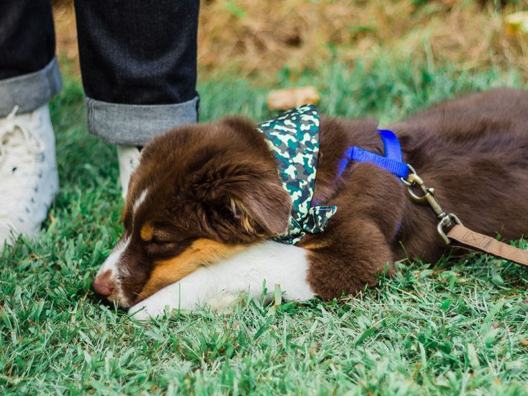 The Otter Pub | Traditional Pub Otterbourne, Winchester